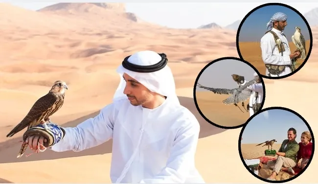 Desert Safari With Falcon Show Dubai
