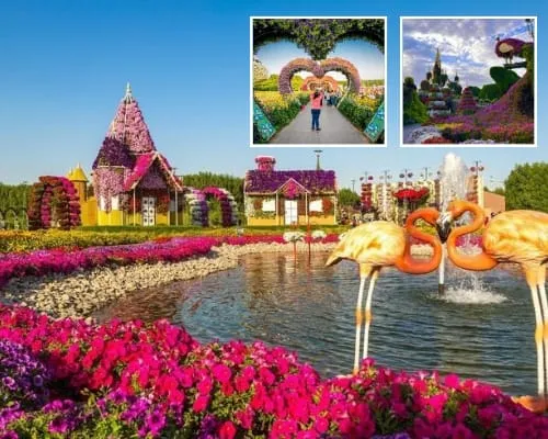 Dubai Miracle Garden